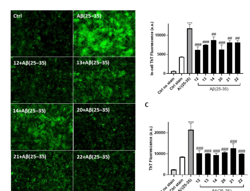 Neuroprotective Potential of Indole-Based Compounds: A Biochemical Study on Antioxidant Properties and Amyloid Disaggregation in Neuroblastoma Cells